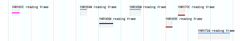 CDS detail