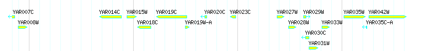 Genes detail