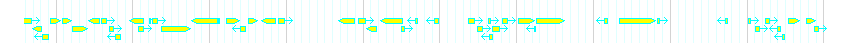 Genes detail