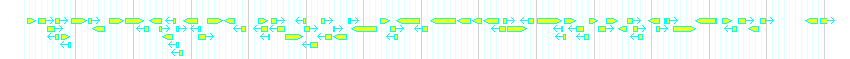 Genes detail