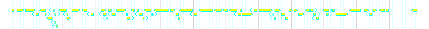 Genes detail