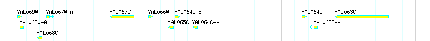 Genes detail