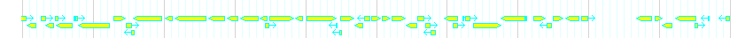 Genes detail