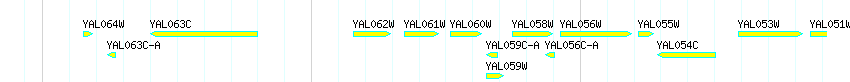 Genes detail