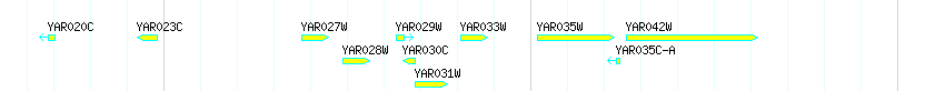 Genes detail