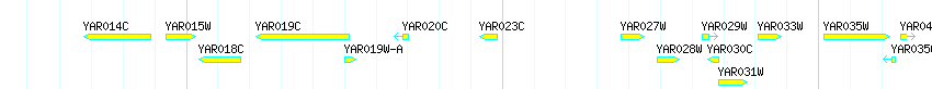 Genes detail