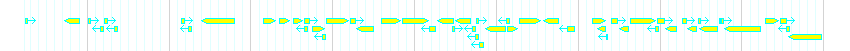 Genes detail