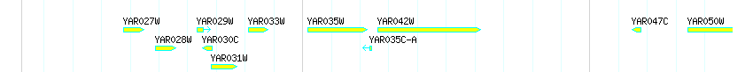 Genes detail