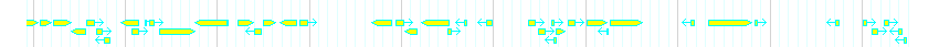 Genes detail