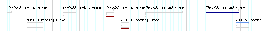 CDS detail