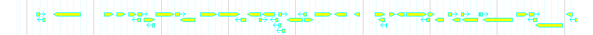 Genes detail
