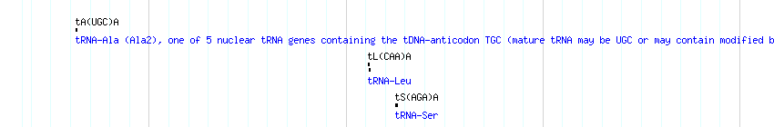 tRNAs detail