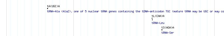 tRNAs detail