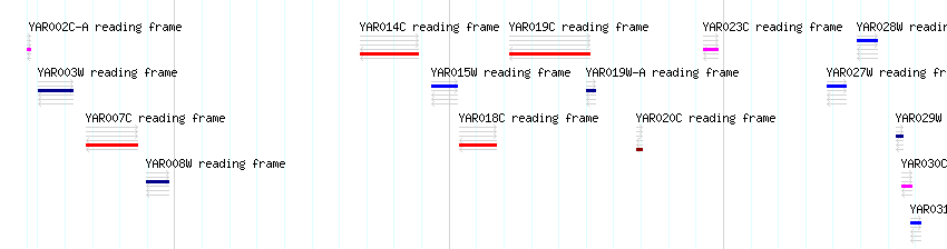 CDS detail