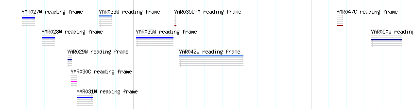 CDS detail
