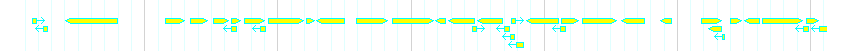 Genes detail