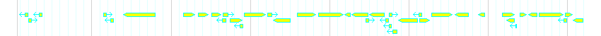 Genes detail