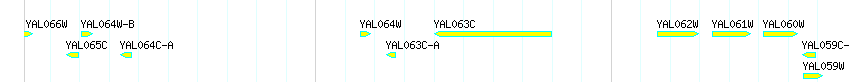 Genes detail