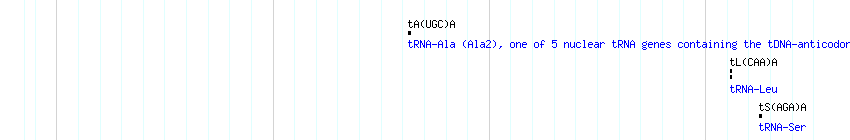 tRNAs detail
