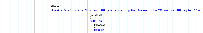 tRNAs detail