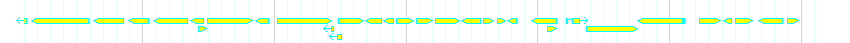 Genes detail