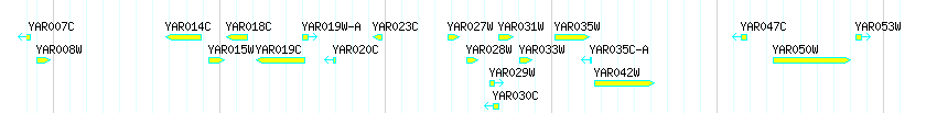 Genes detail