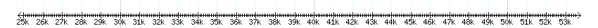 __scale__ detail