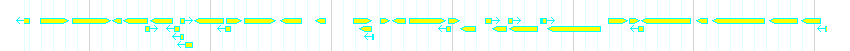 Genes detail