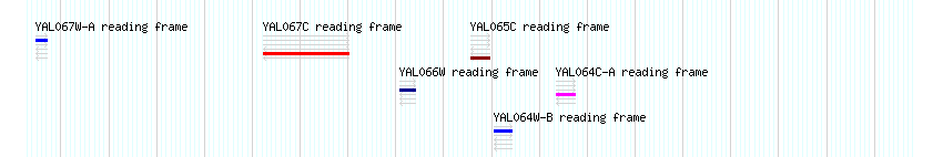 CDS detail