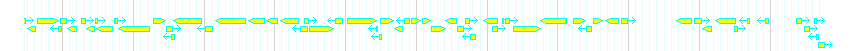 Genes detail