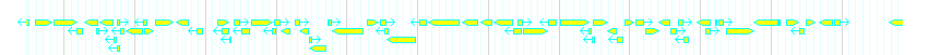 Genes detail