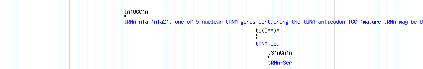 tRNAs detail