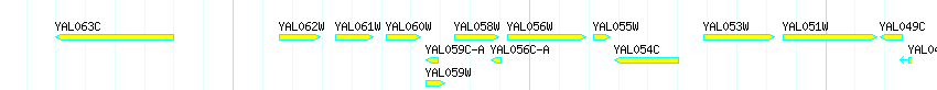 Genes detail