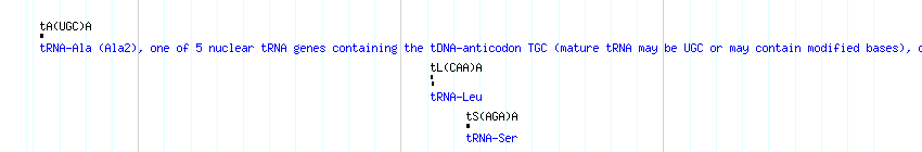 tRNAs detail