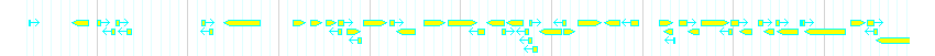 Genes detail