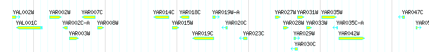Genes detail