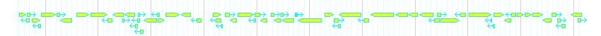 Genes detail