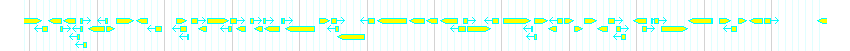 Genes detail