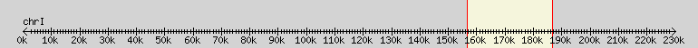 __scale__ overview
