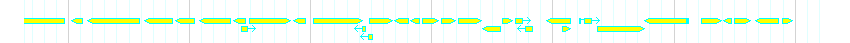 Genes detail