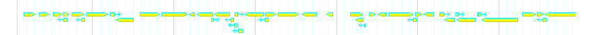 Genes detail