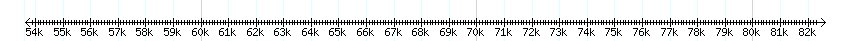 __scale__ detail