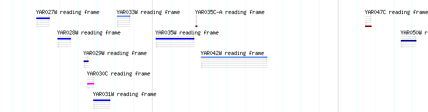 CDS detail