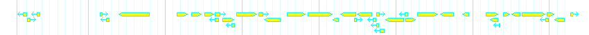 Genes detail