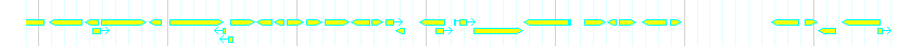 Genes detail