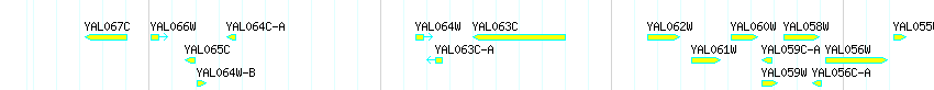 Genes detail