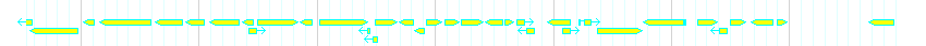 Genes detail