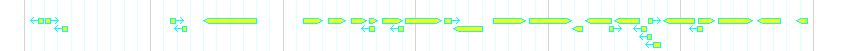 Genes detail