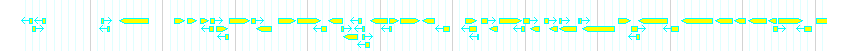 Genes detail