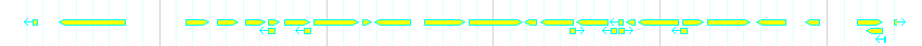 Genes detail